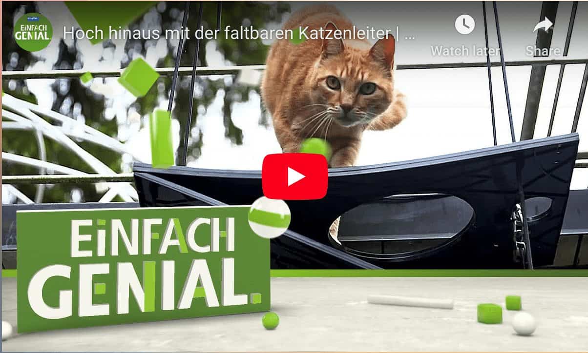 Videobeitrag in der Fernsehsendung Einfach Genial zur faltbaren Katzenleiter